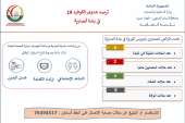 ترصد عدوى كوفيد-19 في بلدة أنصارية